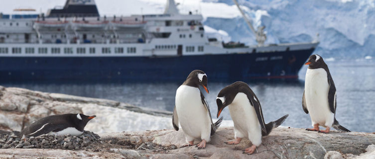 Penguins look on as a cruise ship sails by